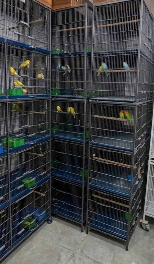 8-Portion Heavy Duty Bird Cage — photo 3