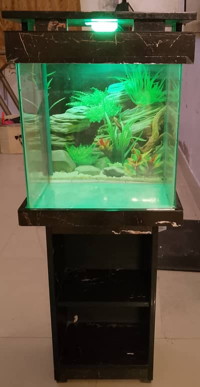 Aquarium