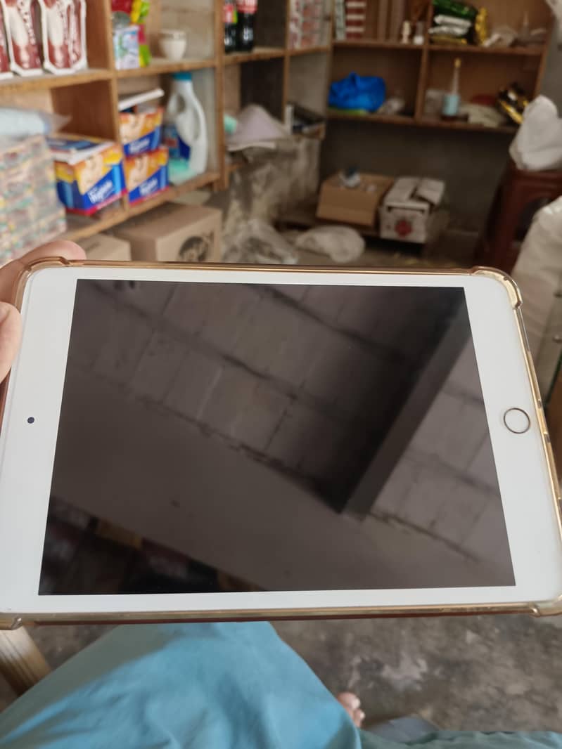 ipad mini 5 1