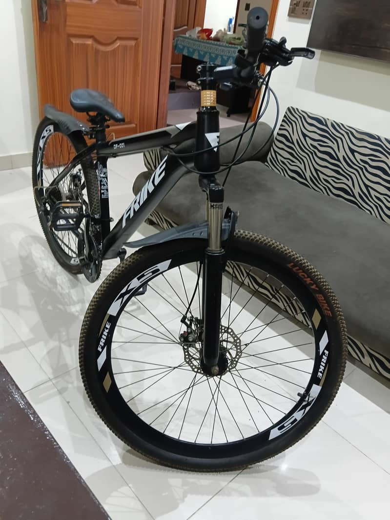 Frike bycycle 1
