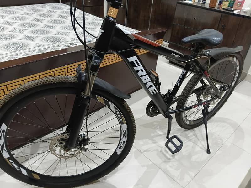 Frike bycycle 2