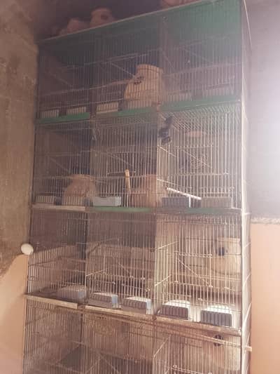 12 box
