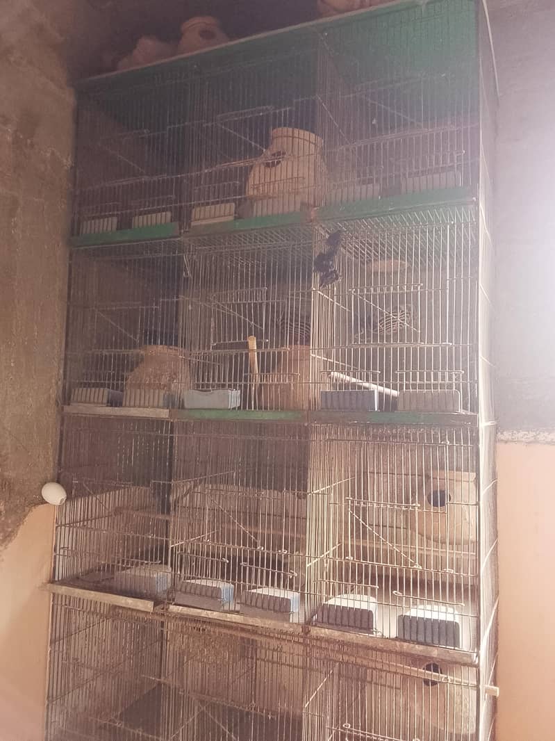 12 box 0