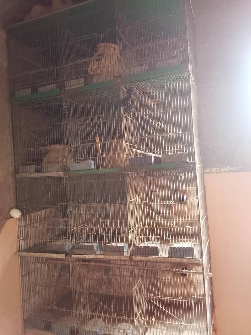 12 box 1