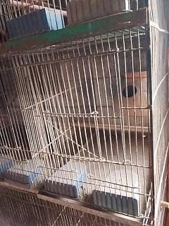 12 box 2