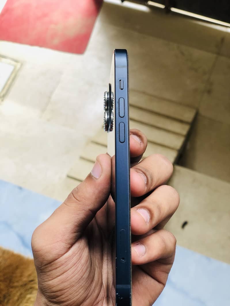 Apple iPhone 12 1