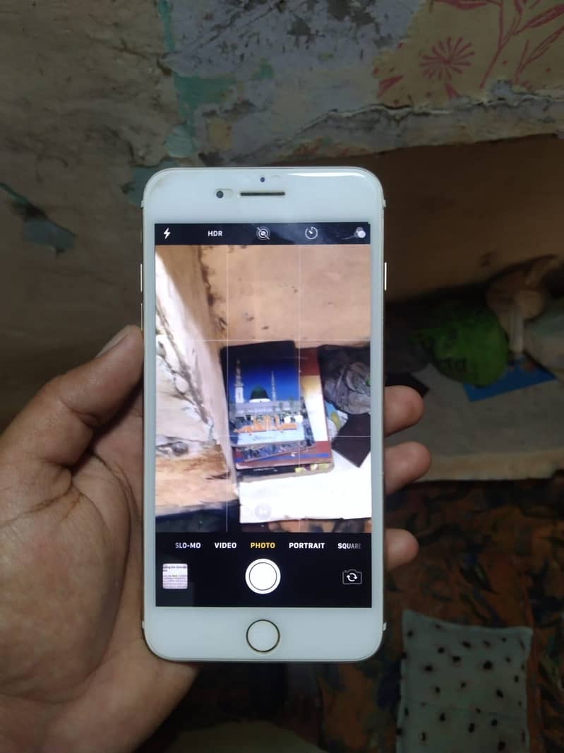 Apple iPhone 7 Plus 3