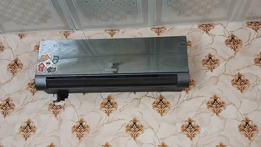 fresh condition
