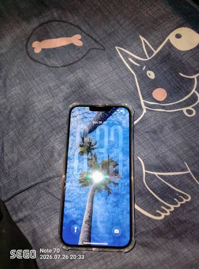 Apple iPhone 13 Pro Max