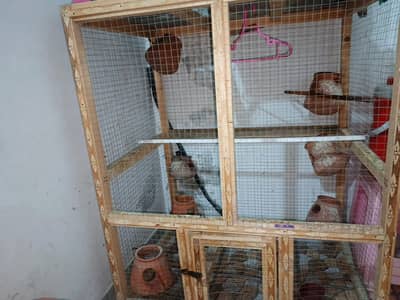 Hen cage, pingra. Wooden cage. Big size cage, parrots cage, Australia