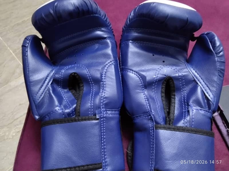 punching bag 3