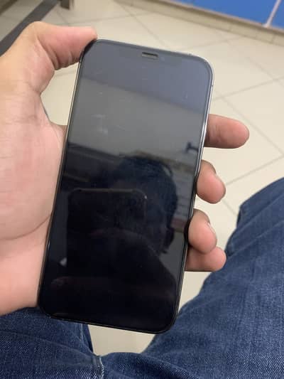 Apple iPhone 12 Pro