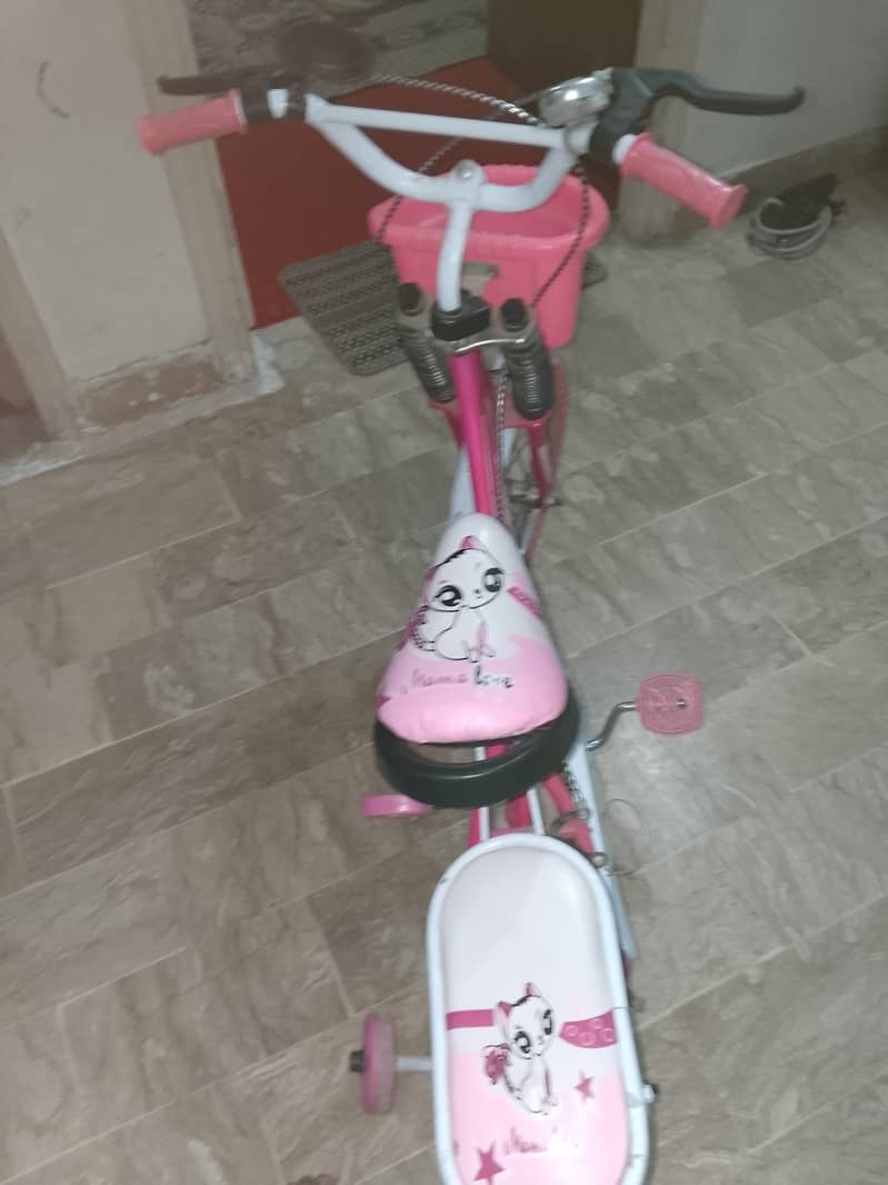 Cycle 2
