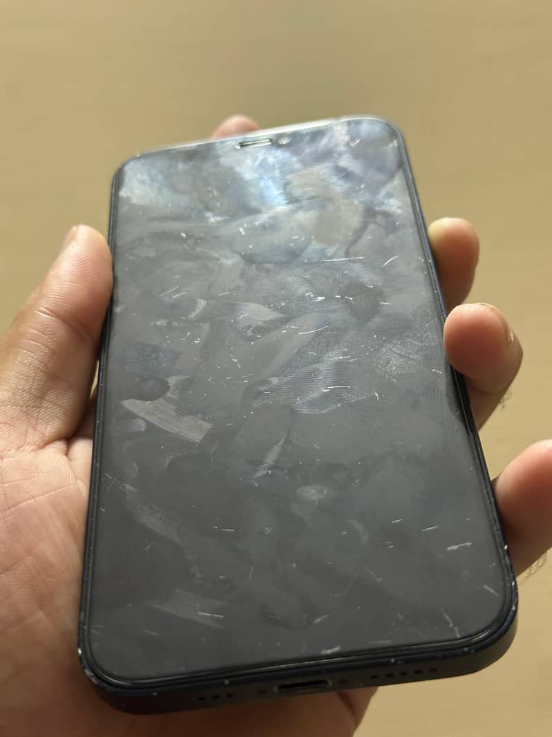 Apple iPhone 12 1