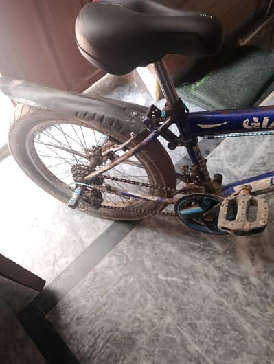 GIANT good condition 20inch cycle