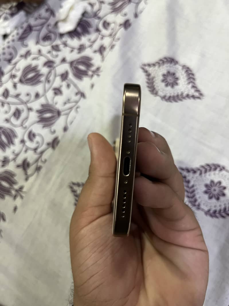Apple iPhone 16 Pro Max 3