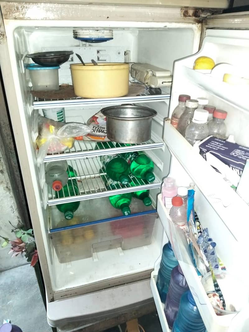 Fridge 2
