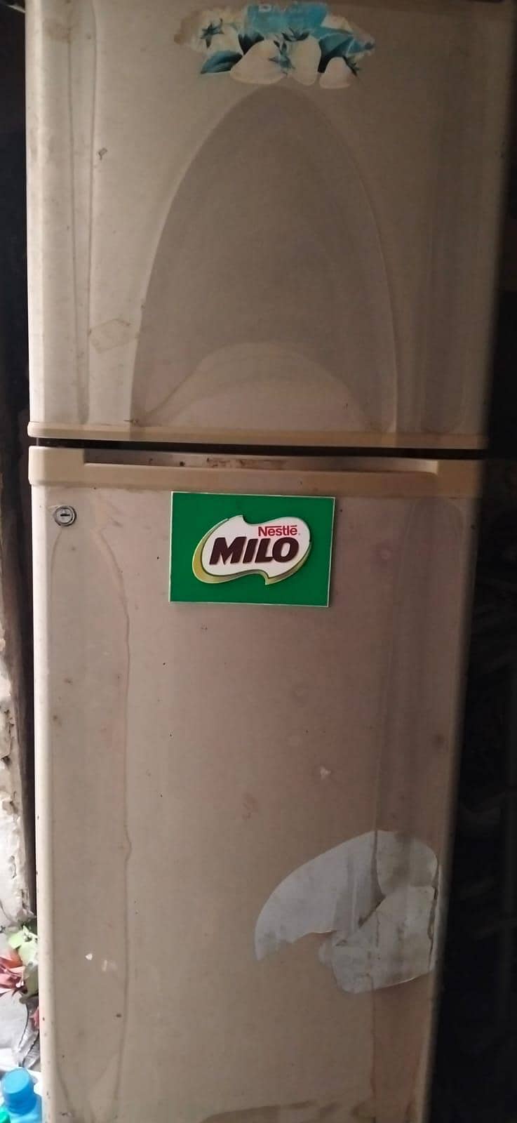Fridge 3