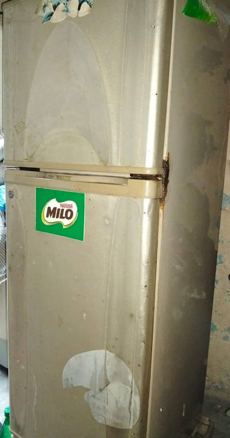 Fridge 4