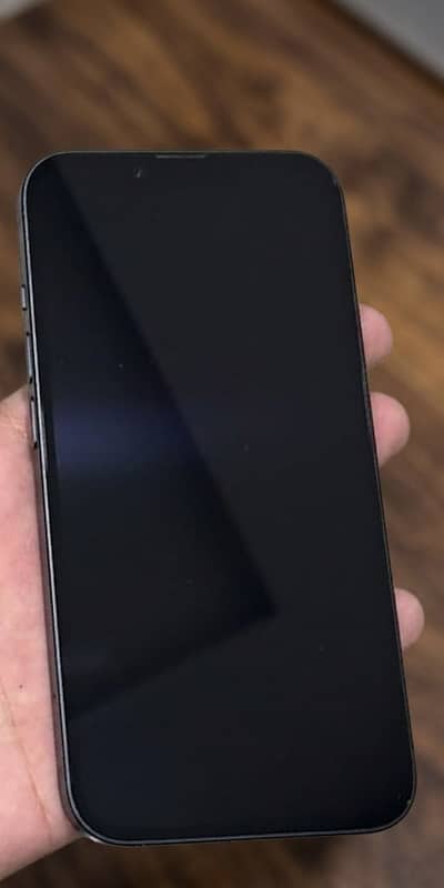 Apple iPhone 13 jv