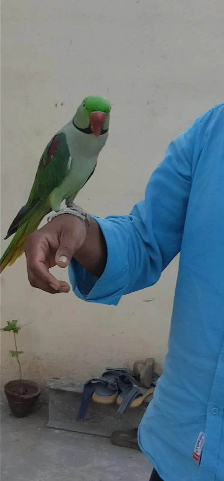 lslamabad — photo 4
