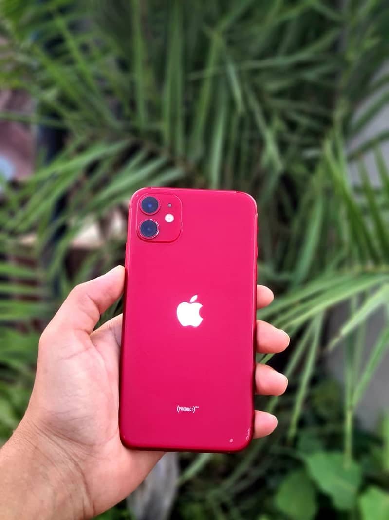 Apple iPhone 11 0