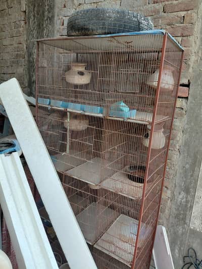 9 Portion Birds Cage For Sale