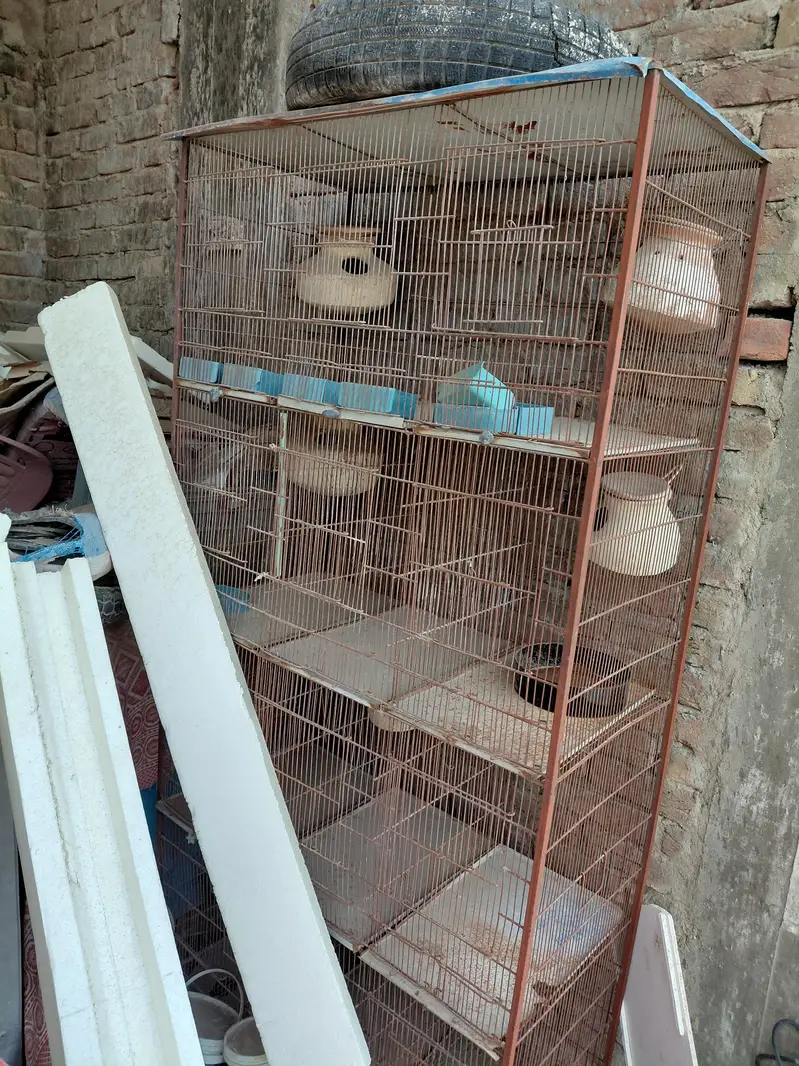 9 Portion Birds Cage For Sale — photo 2