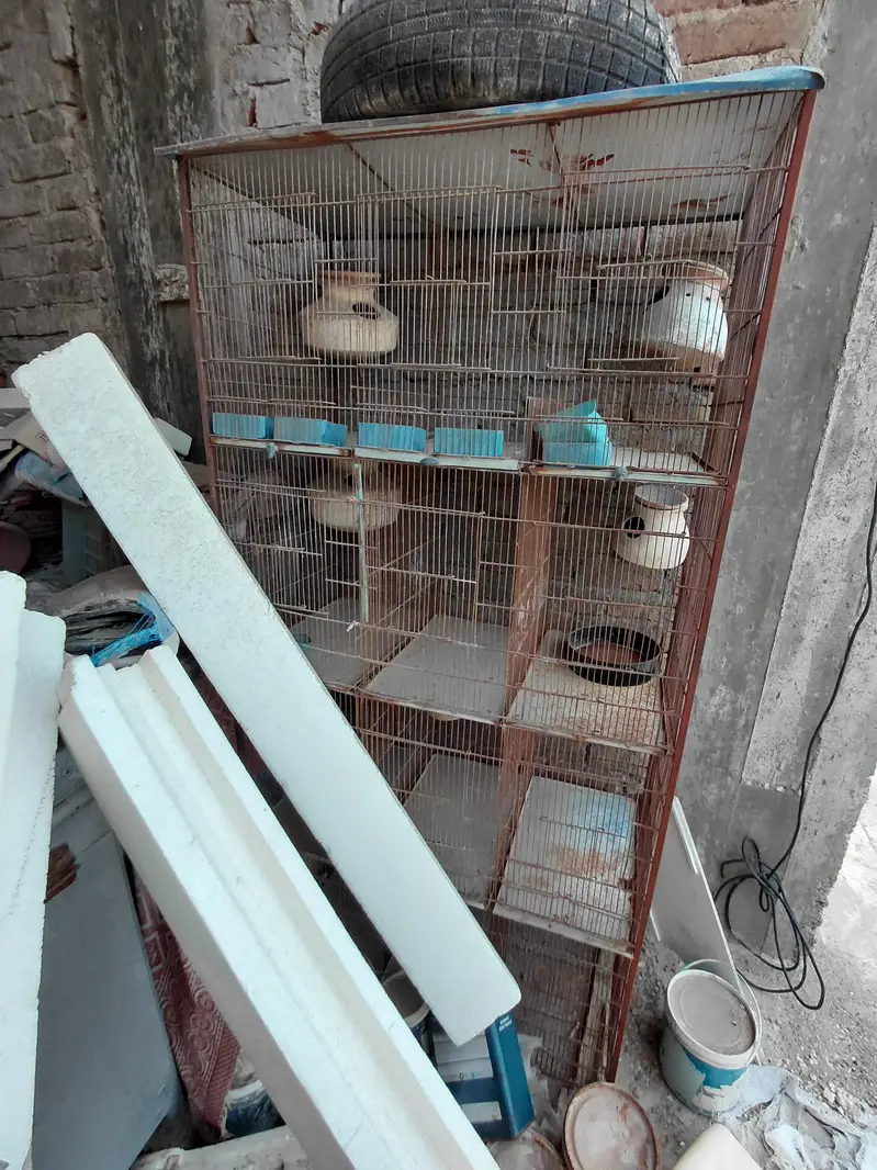 9 Portion Birds Cage For Sale — photo 4
