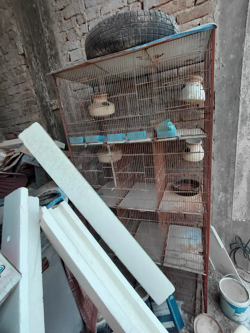 9 Portion Birds Cage For Sale — photo 5