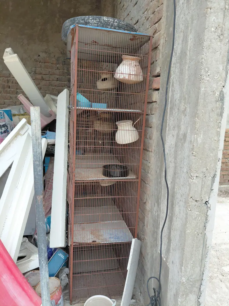9 Portion Birds Cage For Sale — photo 6