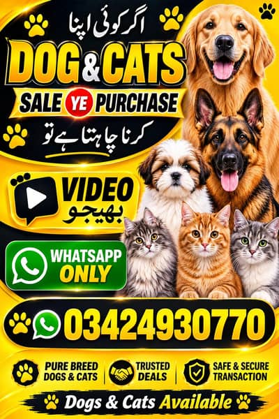 sale purchase k Liye Whatsapp contact kry