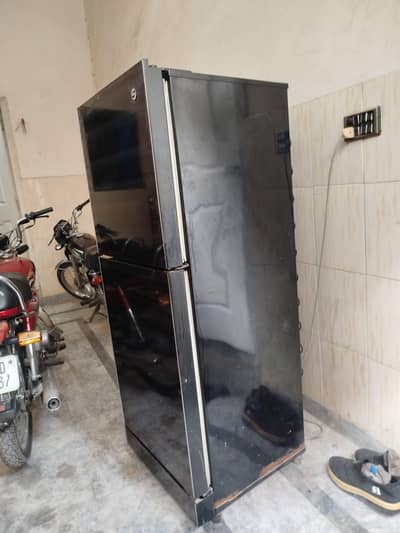 Pel Fridge small size