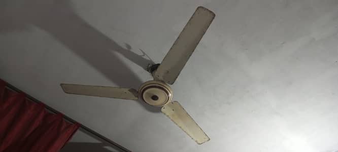 celling fan