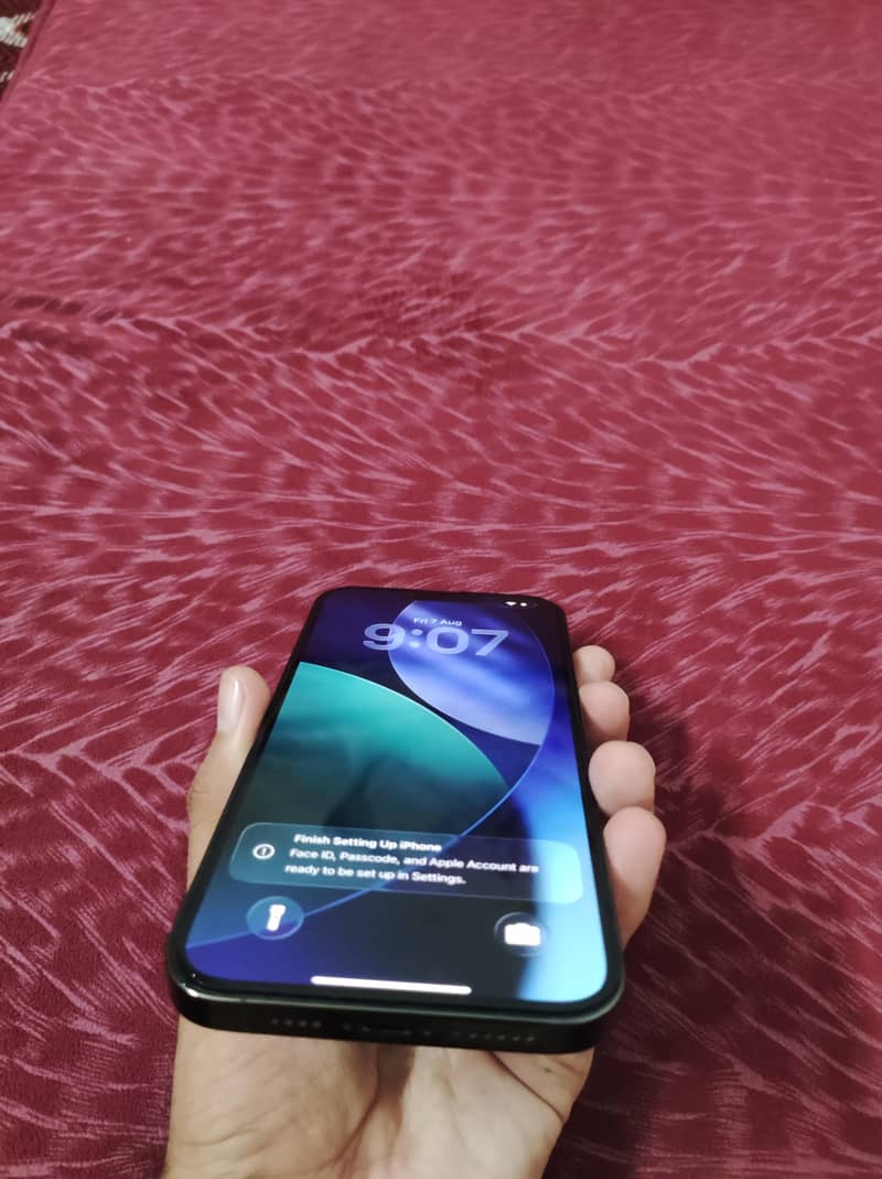 Apple iPhone 13 Pro Max 2