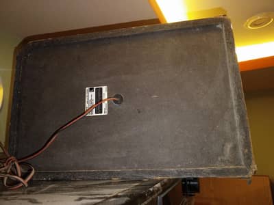 tecnich amplifier and Sony speaker