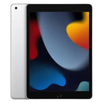 iPad 9 Gen 256GB