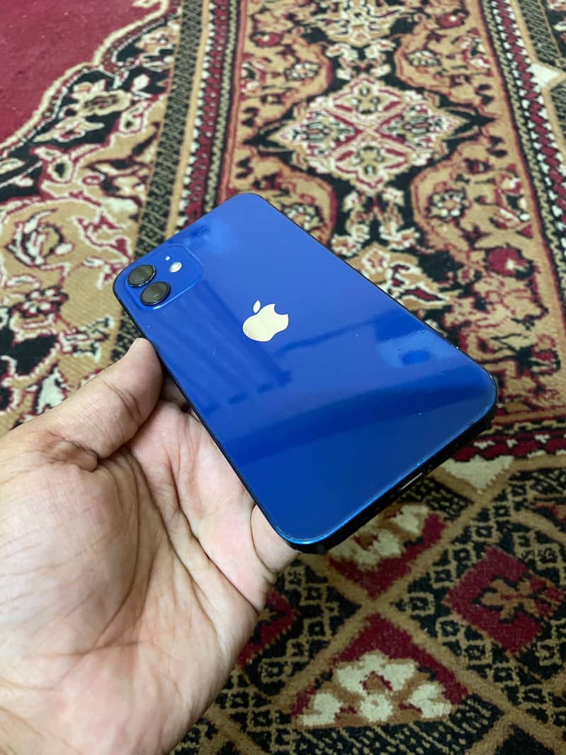 Apple iPhone 12 1