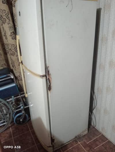 pel fridge