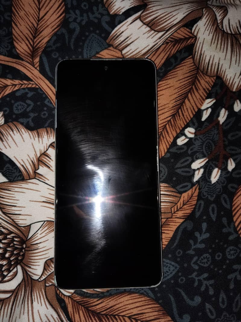 Dcode Bold 3 1