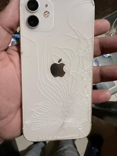 Apple iPhone 12