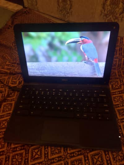 Dell Chromebook 10pro for sale WhatsApp number 03434669032