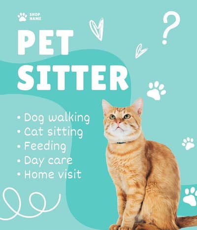 Cats Care Taker