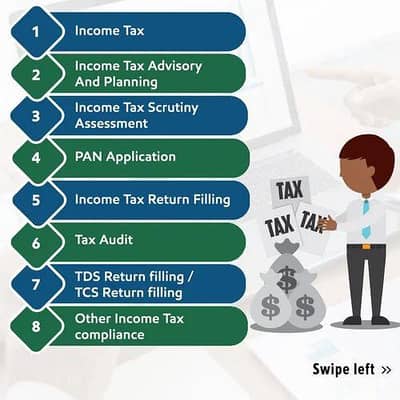 Anaya Ali Tax Consultant