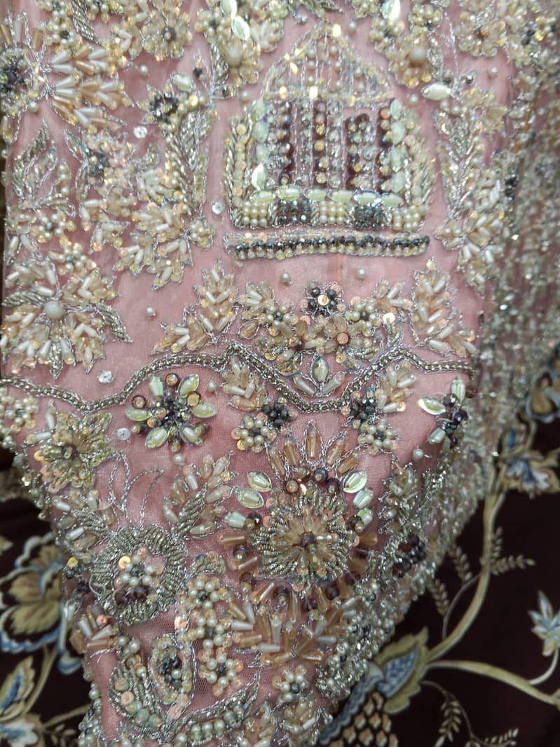 maxci 7