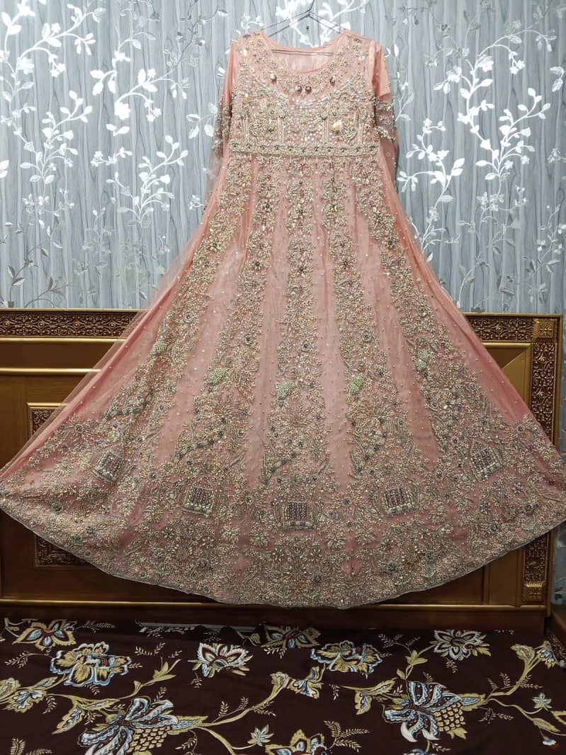 maxci 12