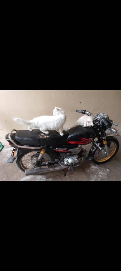 yamah janoon 100cc