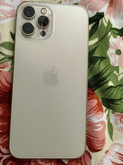 Apple iPhone 12 Pro Max