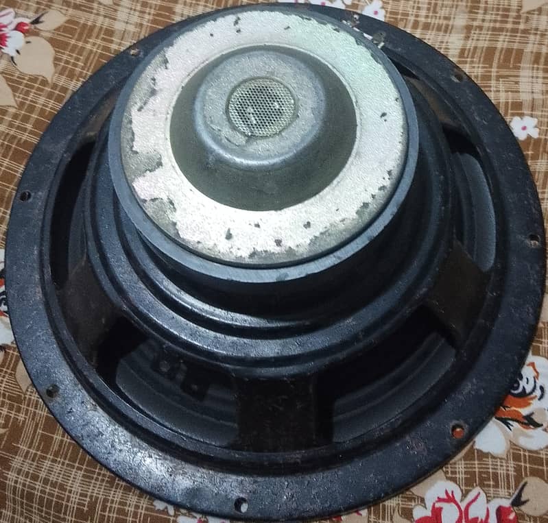 woofer 1