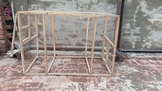 Aseel, Hen, Parrot All Type Of Birds Cage
